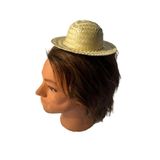 Mini Chapeu De Palha Festa Caipira Junina 18cm - 5 Un