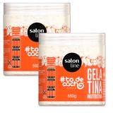 Kit Gelatina Salon Line #todecacho Nutritiva 550g - 2 Unidades