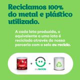 Ração Úmida Pet Delicia Natural Gatos Escondidinho Suíno 320g