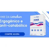 Kit 3cx Hmb Suplemento Alimentar Pó 30 Saches De 5g Linhahum Cor Incolor