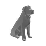 Golden Retriever Geometrico Low Poly Decoração 3d