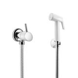Ducha Higiênica Lorenzetti Swan 1984 C42 Com Registro Branca - Único