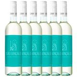 kit 6 Garrafas São Gonçalo Vinho Verde D.O.C