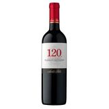 Vinho Santa Rita 120 Cabernet Sauvignon