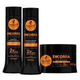 Kit Haskell Encorpa Shampoo Creme Mascara Engrossadora 300Ml