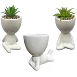 Kit 3 Vasos Cabeça De Planta Robert Plant Bob Branco