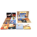 Super Jogo Da Memória Animais Cognitivo Para Idosos 15 Pares