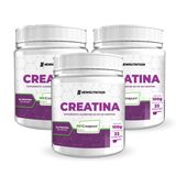 Kit 3 Suplemento Em Pó Creatina Creapure Monohidratada 100g