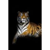 Quadro Decorativo em Canvas Tigre 3 madeira Clara 130 X 86