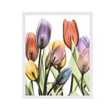 Quadro Decorativo Tulipa Branco