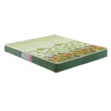Colchao Queen Espuma Compact Ag 65 D28 Pantanal Green 158x198x17 Anjos