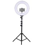 Iluminador Ring Light Youtuber 10 Polegadas 26Cm Led Tripé