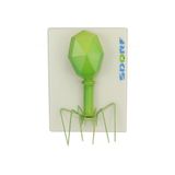 Modelo De Bacteriófago / Parasita Intracelular Obrigatório