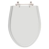 Assento Sanitario Alpinia Cinza Claro Para Bacia Fiori 6lpf