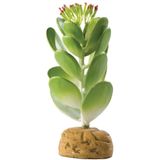 Exo Terra Desert Ground Plant, Decoração Do Terrário Réptil