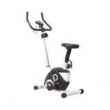 Bicicleta Magnética de Exercícios Ergométrica WCT Fitness