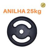 Anilha 25kg Super Premium Ferro Fundido Pintada Academia