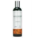 Grandha Touch Energy Shampoo Terapia Capilar 300G