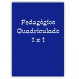 Caderno Pedagógico Quadriculado 1x1 Brochura 96fls - Tamoio