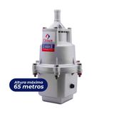 Bomba Dágua Sapo Submersa Fênix 950 450w 220v