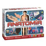 Jogo De Experiencia Infantil Orgaos E Corpo Humano Anatomia Grow