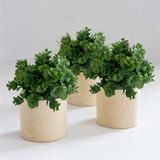 7 Picks Buquês Artificiais Plantinhas Decorativas (6 Hastes Em Cada) Ótimos Enfeites Em Terrários E Mesas De Casamento