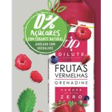 Kit 02 Xarope Dilute Premium Zero Açucar Frutas Vermelhas + Limão Siciliano 500 Ml Soda Italiana