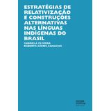 Estratégias de relativização e construções alternativas nas línguas indígenas do Brasil