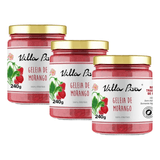 Kit 3x: Geleia De Morango 100% Frutas Sem Adição De Açúcar Villa Piva 240g