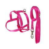 Peitoral Com Guia Griff Dog Rosa Para Cães - Tamanho 1