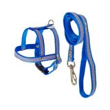 Peitoral Com Guia Griff Dog Azul Para Cães - Tamanho 4