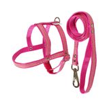 Peitoral Com Guia Griff Dog Rosa Para Cães - Tamanho 3