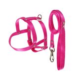 Peitoral Com Guia Griff Dog Rosa Para Cães - Tamanho 3