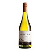 Vinho Castillo de Molina Reserva Sauvignon Blanc 750ml