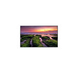 Monitor Profissional Samsung 4k 55&quot; Qb55c Lh55qbcebgcxzd