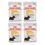 Kit 4 Un. Ração Úmida Royal Canin Dermacomfort Cães Adultos 85g