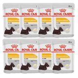 Kit 8 Un. Ração Úmida Royal Canin Dermacomfort Cães Adultos