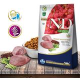 Ração Seca Cnd Quinoa Feline Weight Management Cordeiro