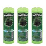 3 Velas Votiva Aroma Eucalipto Aromática Perfumada Natureza