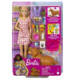 Boneca Barbie C/ Pet - Cachorrinhos Recém Nascidos - Mattel Mattel