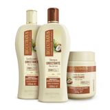 Kit Umectante 3 Produtos Bio Extratus 500ml