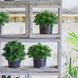 8 Mini Buquês De Plantas Artificiais Picks Decorativos Para Arranjos De Mesa Em Festas E Casamentos