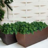 18 Plantas Permanentes Picks Mini Folhagens Perfeitas Para Arranjos De Centro Decorativos