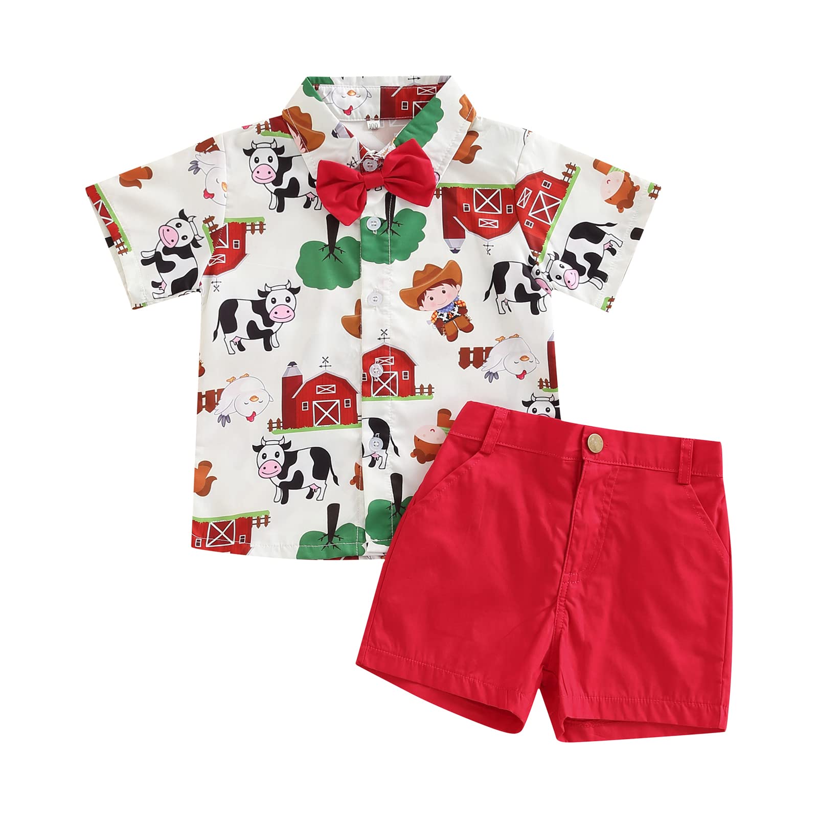 Conjunto De Roupas Visgogo Toddler Boys Farm/circus Animal Print