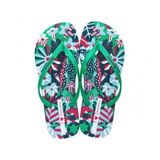 Chinelo Feminino Ipanema Arte Conecta Verde Verde Azul