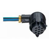 Chicote Conector Femea Lanterna Iveco Stralis Tector