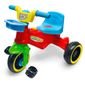 tricic-pass-play-trike-basic-maral-color-1.jpg