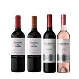 Kit Vinhos Argentina E Chile 750ml - 4 Garrafas