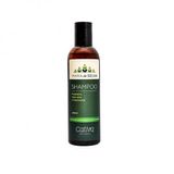 Shampoo Regenerador Orgânico L Vegano - Cativa