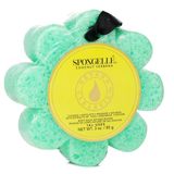 Esponja De Sabão Spongellé Wild Flower Coconut Verbena 85g